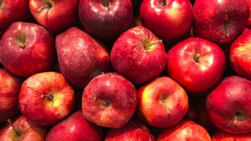 Learning to Love Apples: Why farmers markets are a key driver for greater local food diversity, our President’s message