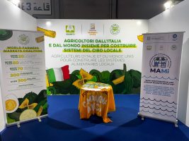 World Farmers Markets Coalition and Campagna Amica at IFSA 2025