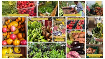 FMCOUNT! Campaign – Farmers Markets Count When It Comes to Biodiversity