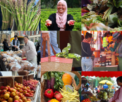 Building the Future of Food Systems Together: Reflections from Our Third General Assembly