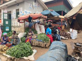 AREA Africa: A new Italian initiative to Strengthen Agri-Food Ecosystems in Africa