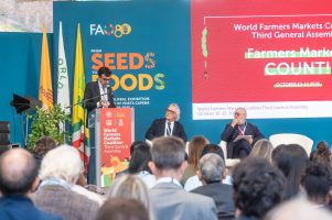 Italy Names Maurizio Martina as Candidate for FAO Director-General