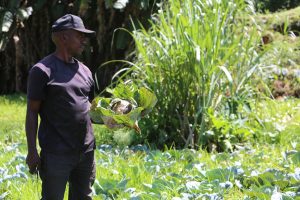 The Impact of Drought and Recent Flooding on Kenyan Agriculture has been a cycle of Crisis