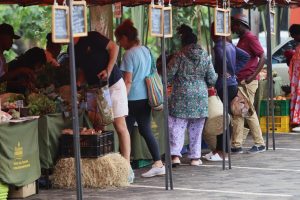 The MAMI Project Enters Its Second Phase to Strengthen Farmers Markets in Africa and the Mediterranean