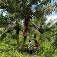 AREA Africa programme Mission in Ghana: Building the Future of Farmers’ Markets and Local Food Systems