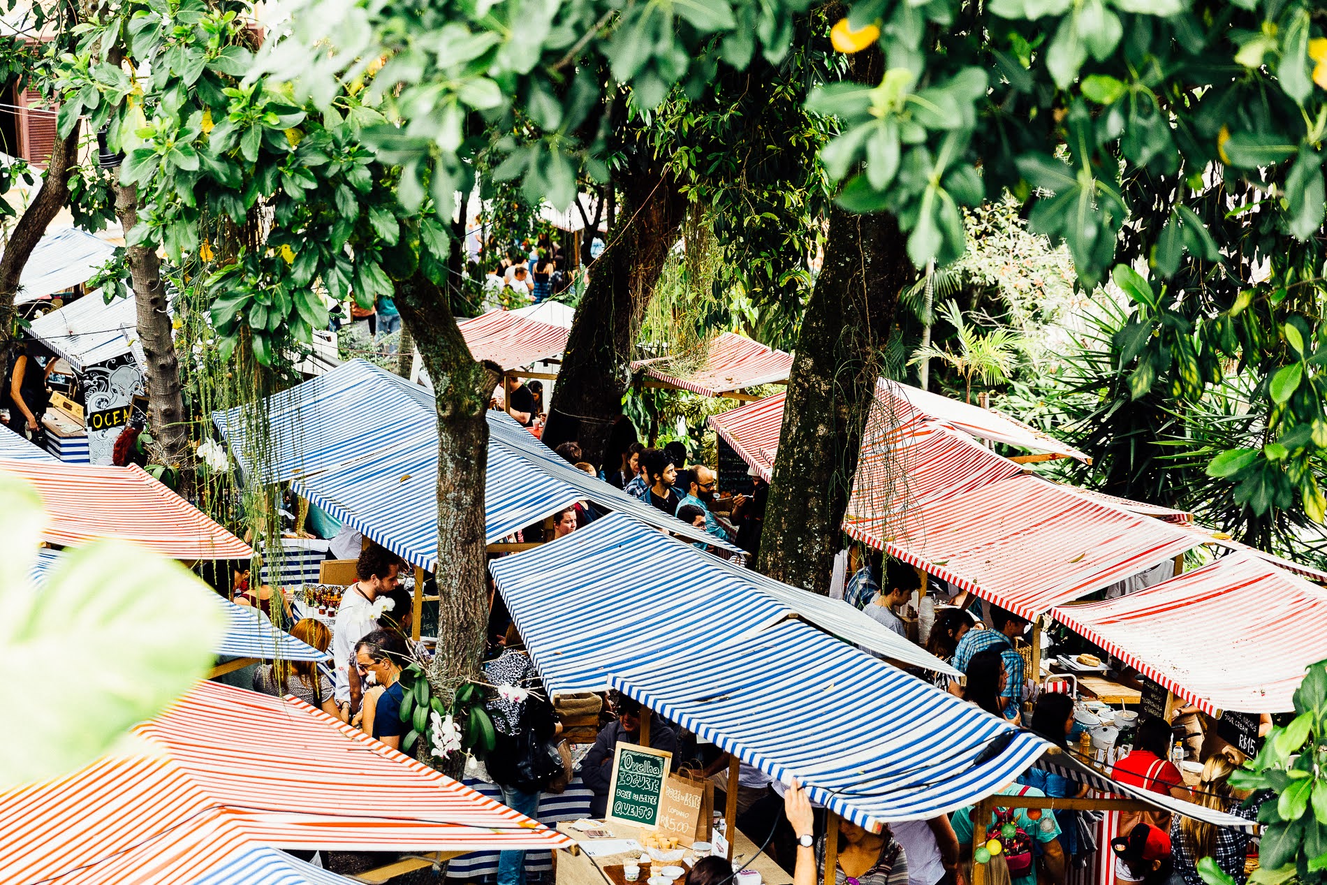 Monthly Member Feature: Junta Local (Rio de Janeiro, Brazil)