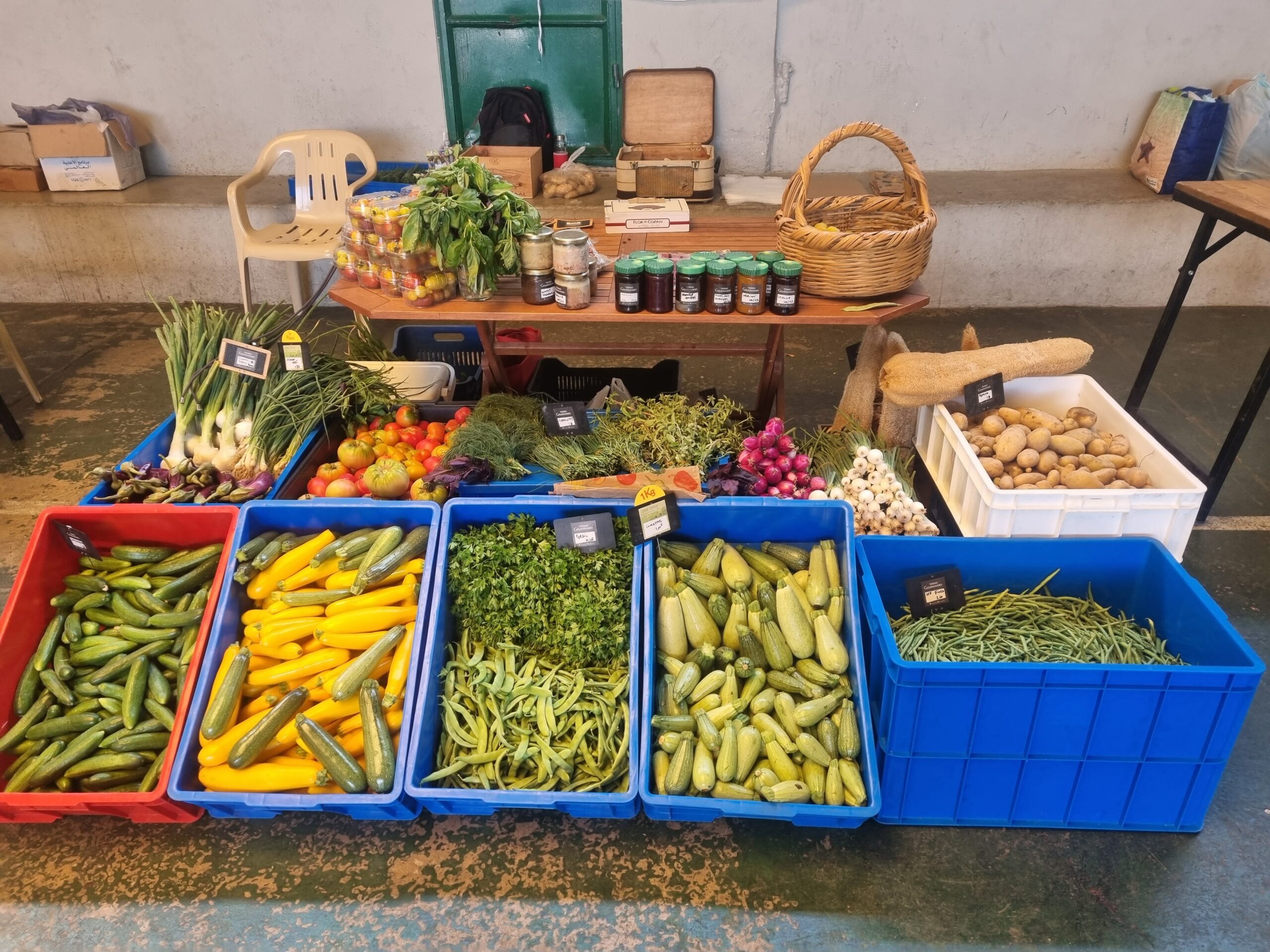 Monthly Member Feature: Badaro Urban Farmers (Beirut, Lebanon)