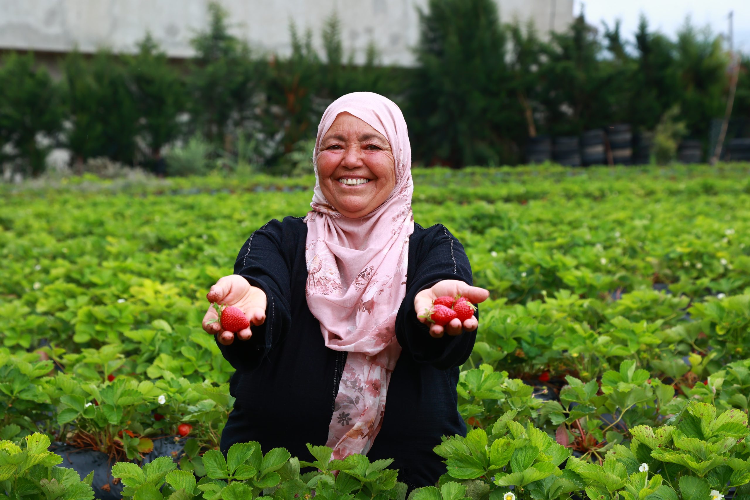 DG’s message: Social Farming – Where Agriculture Becomes a Path to Inclusion, Healing, and Sustainability
