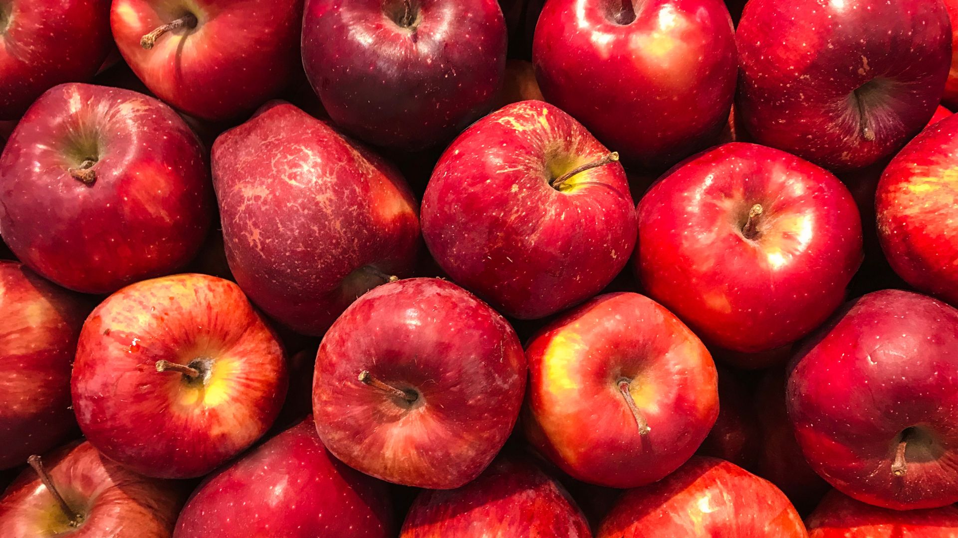 Learning to Love Apples: Why farmers markets are a key driver for greater local food diversity, our President’s message