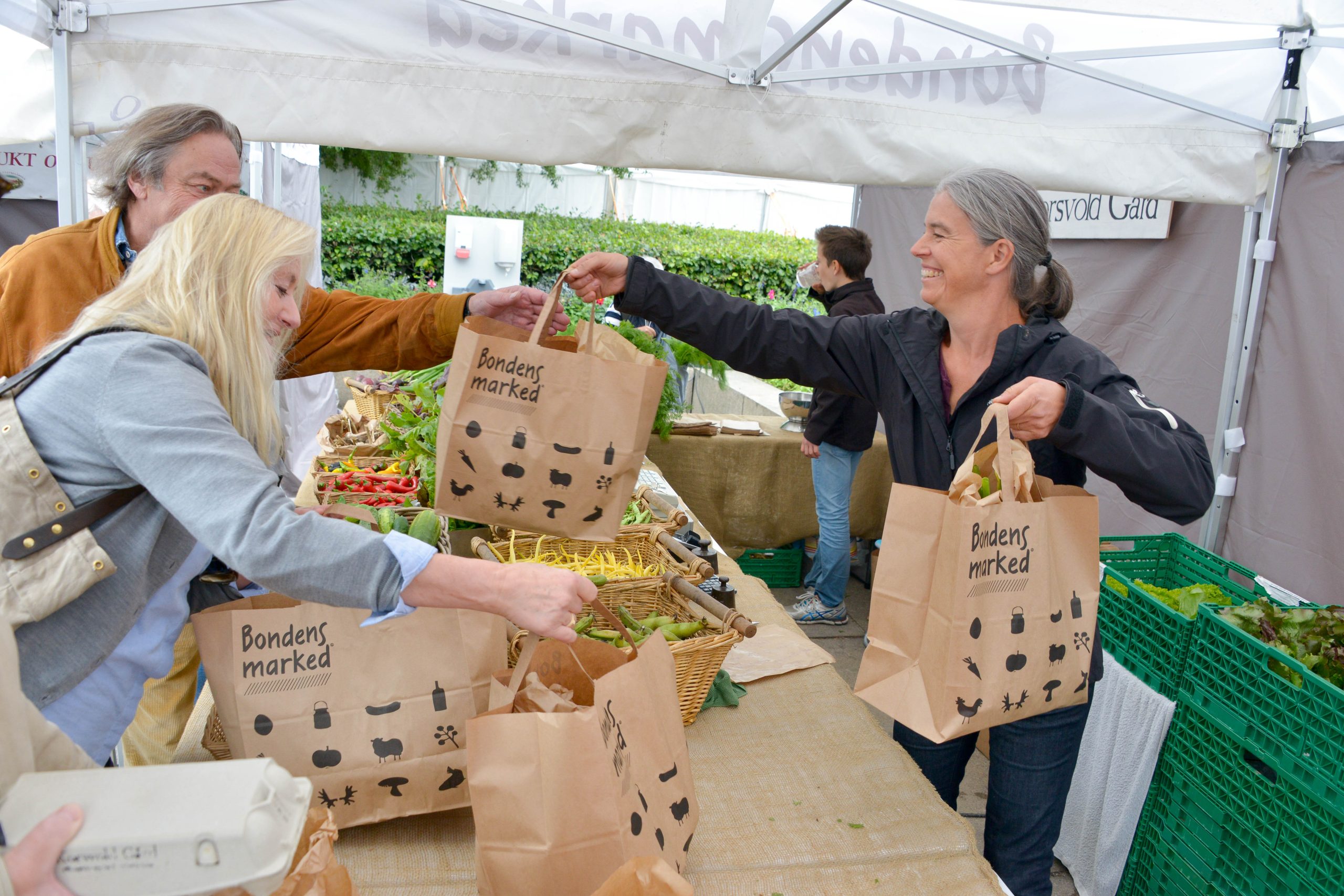 Women Farmers: The Invisible Backbone of Our Food Systems