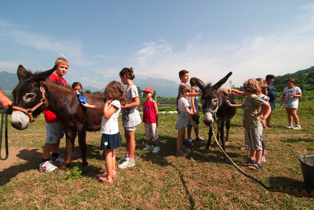 The Case for Multifunctional Agriculture