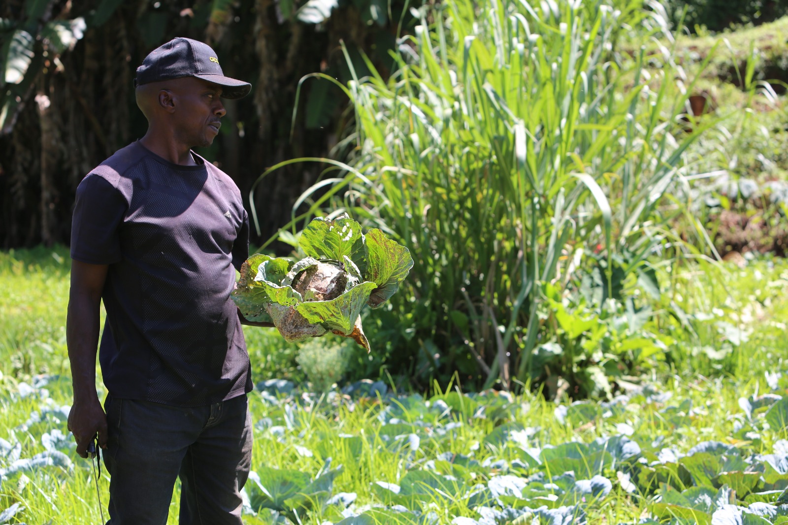 The Impact of Drought and Recent Flooding on Kenyan Agriculture has been a cycle of Crisis