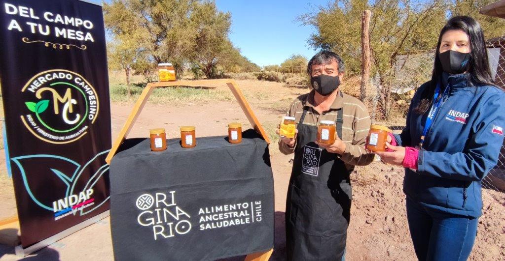 Beekeeper Luis Escalante produces honey with carob, alfalfa, and chañar in the driest desert in the world.