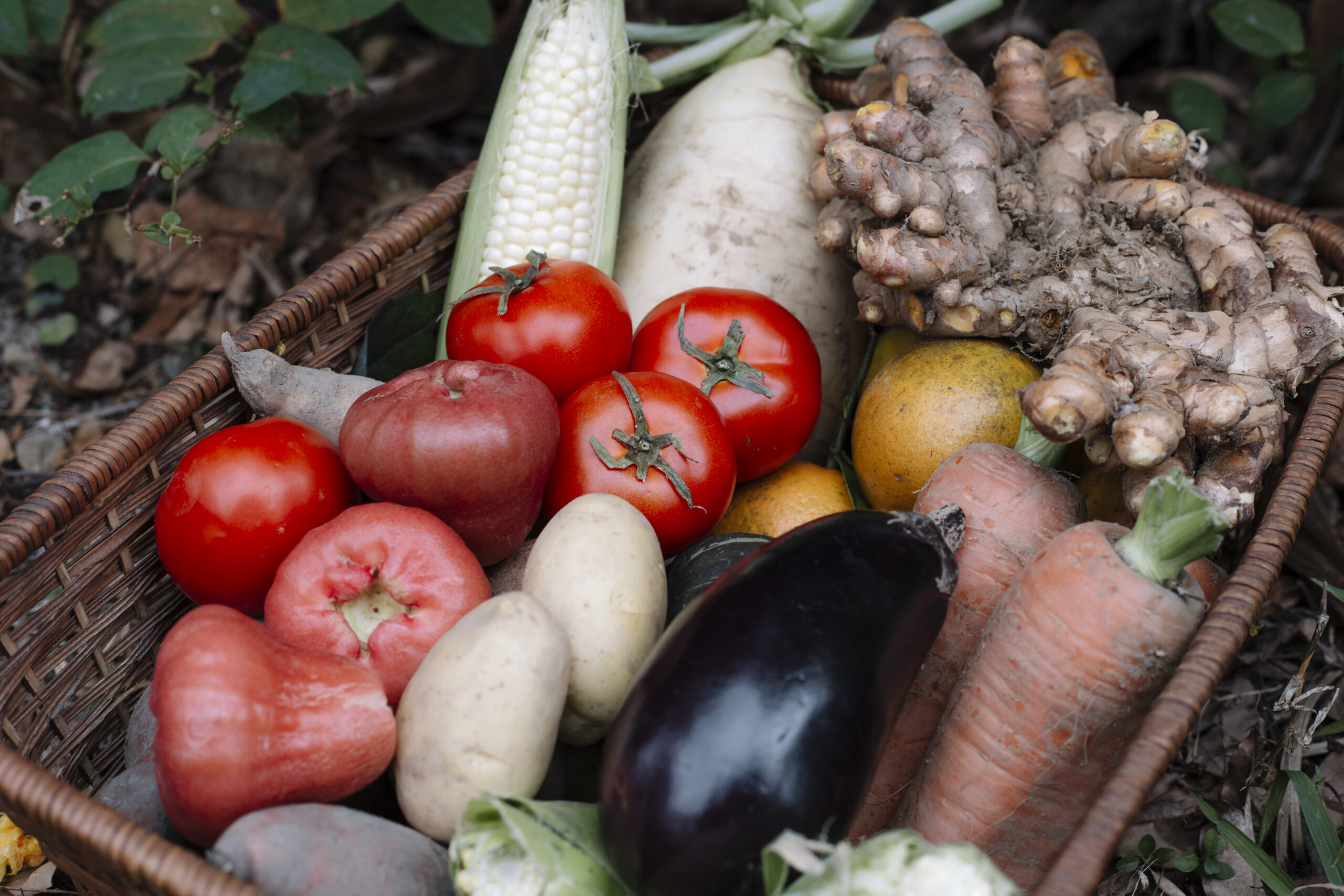 Real Food? Imitation Food? Let’s Restore the Intended Meaning of “Food”