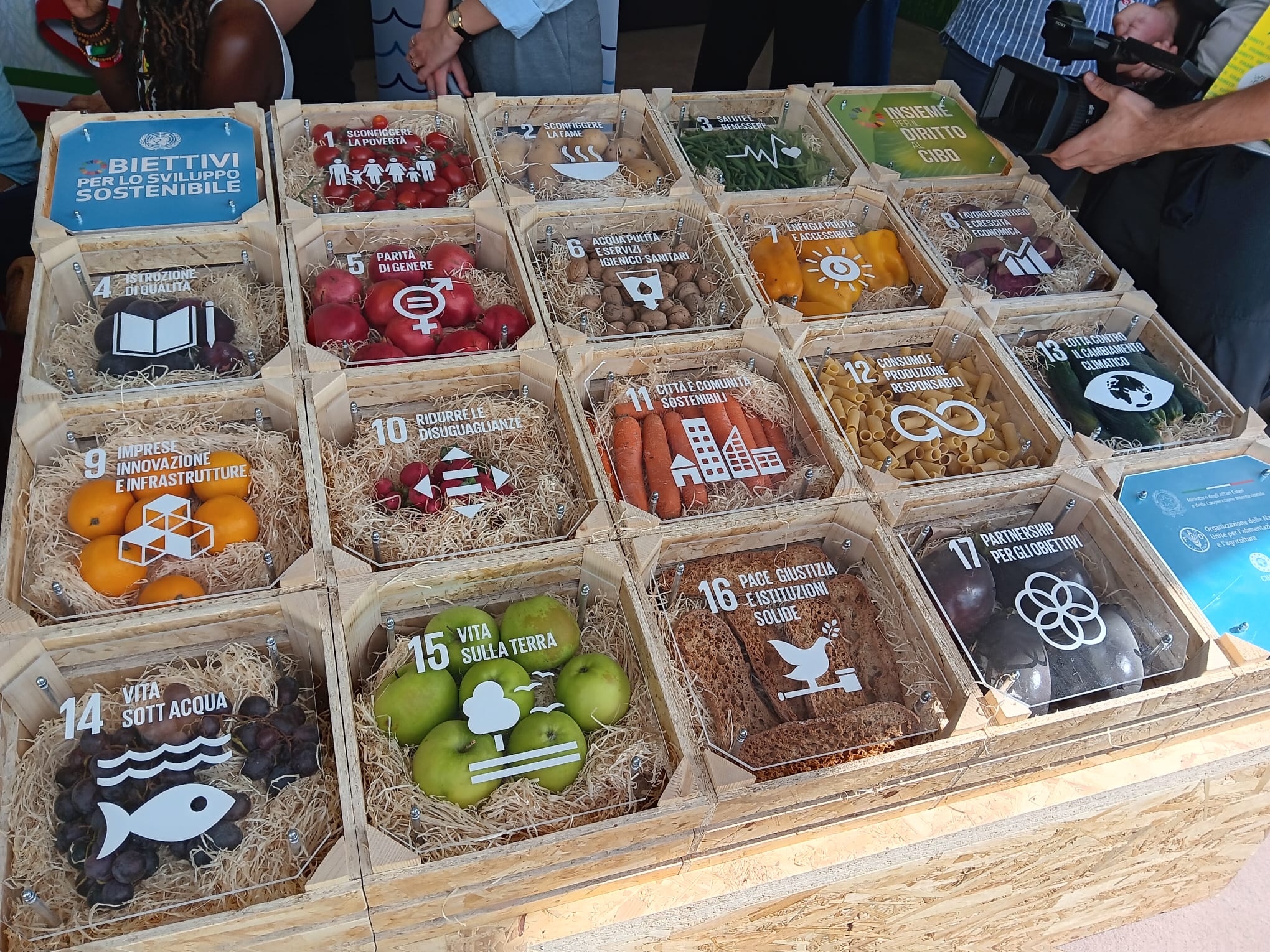Harvest Highlights: A Short Recap of WorldFMC’s Activities this October