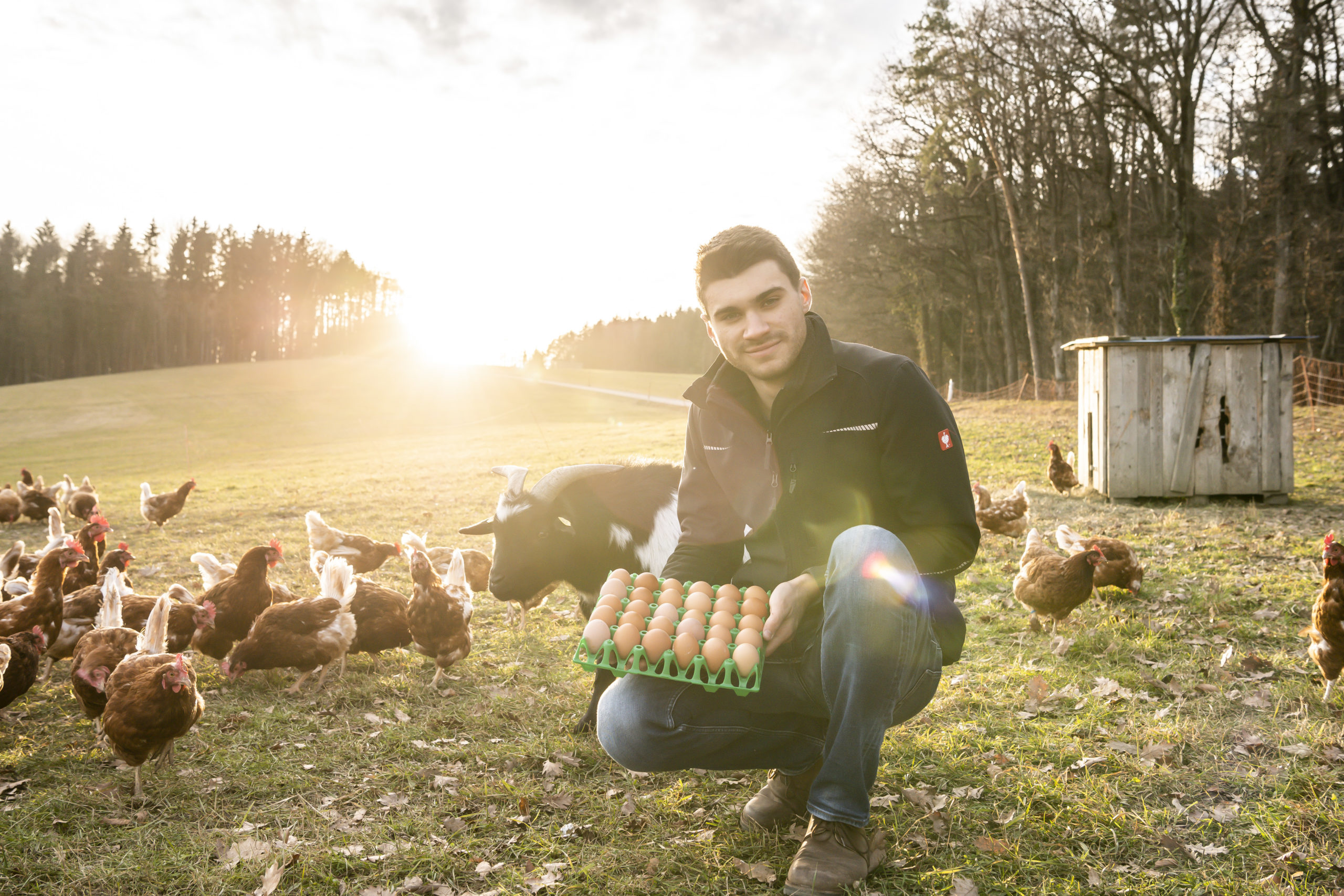 Farmer of the week: Johann Hickelsberg-Füller from Austria