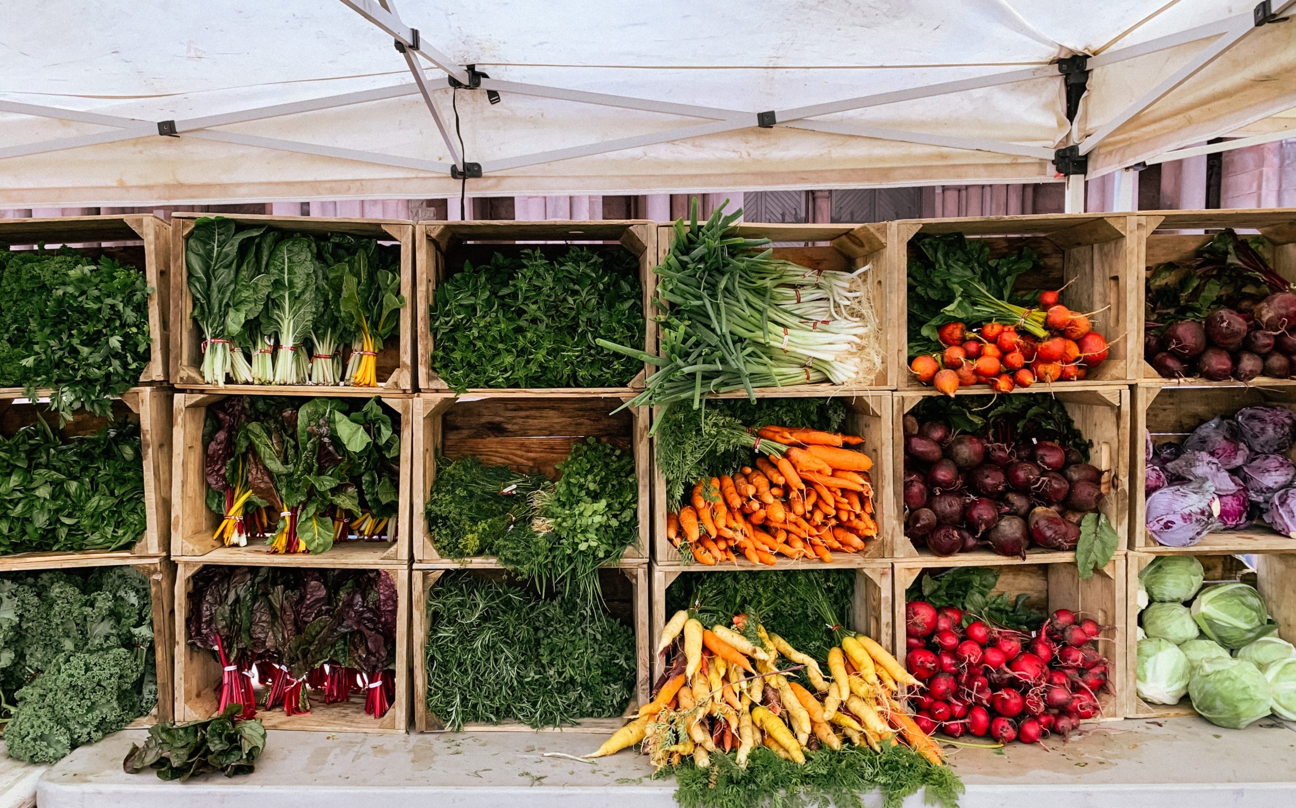 Farmers Markets & New Technology