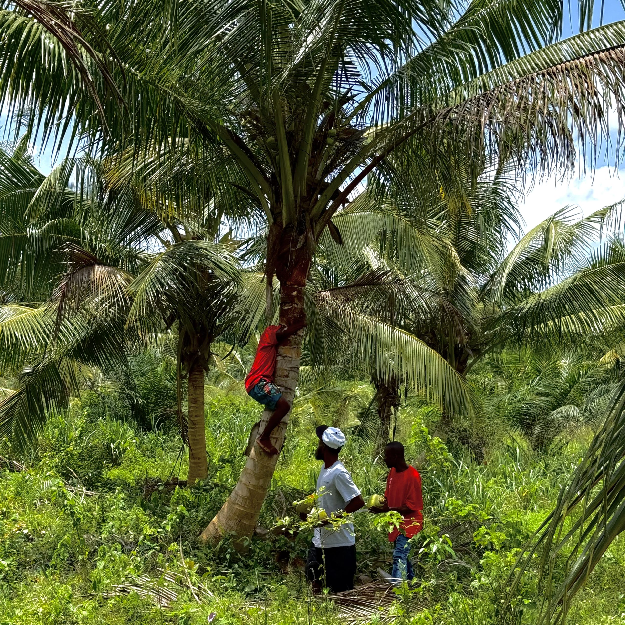 AREA Africa programme Mission in Ghana: Building the Future of Farmers’ Markets and Local Food Systems