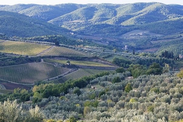 Lazio’s biodiversity meets the world