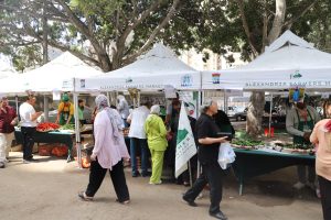 MAMi 2 Project: Mission to Alexandria Confirms the Success of Farmers Markets and Opens New Opportunities