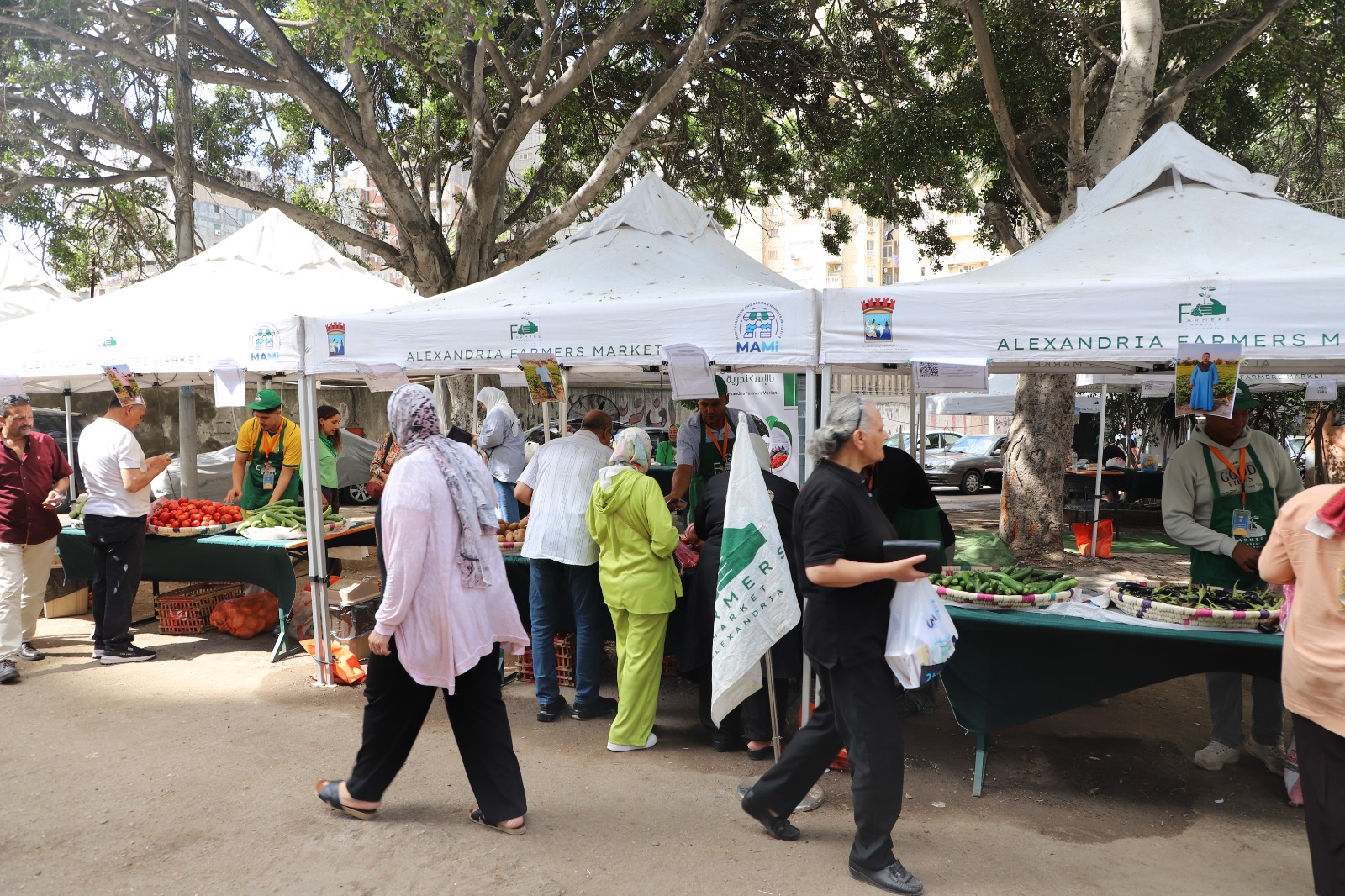 MAMi 2 Project: Mission to Alexandria Confirms the Success of Farmers Markets and Opens New Opportunities