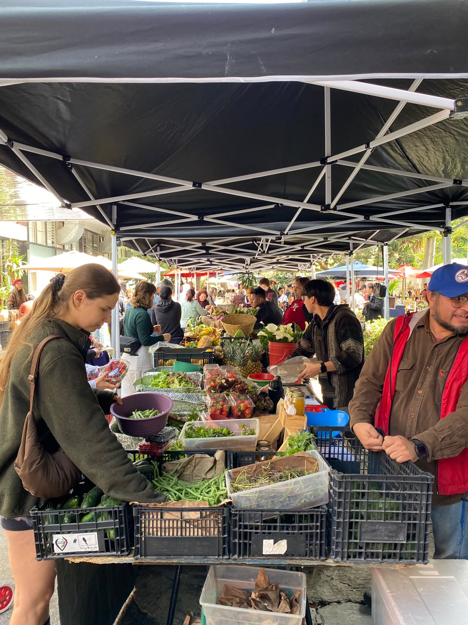 Celebrating National Farmers Market Week: Honoring the Markets That Strengthen Our Communities 